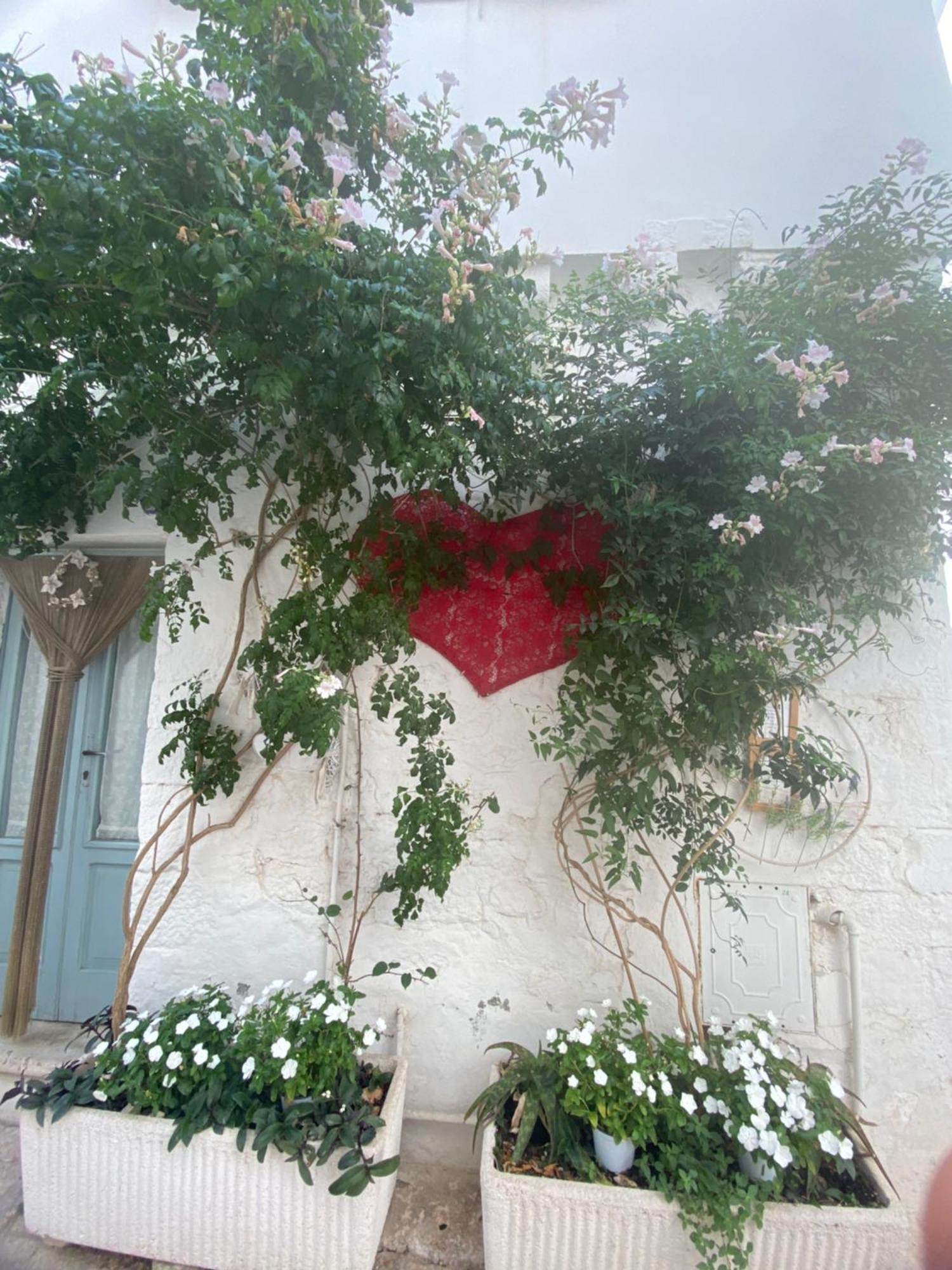 Palazzoliva - Luxury Boho Chic Guest House In The Historic Heart Of 马丁纳弗兰卡 外观 照片