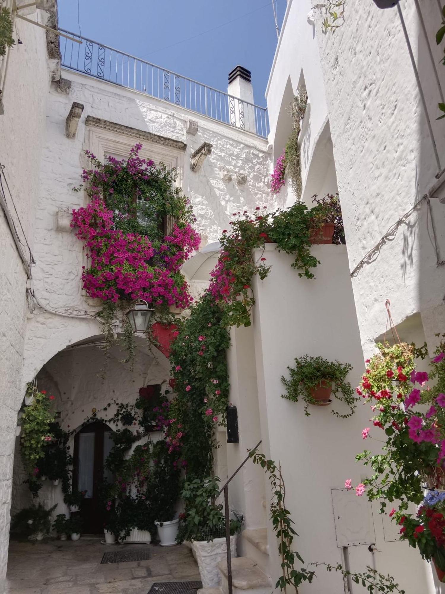 Palazzoliva - Luxury Boho Chic Guest House In The Historic Heart Of 马丁纳弗兰卡 外观 照片