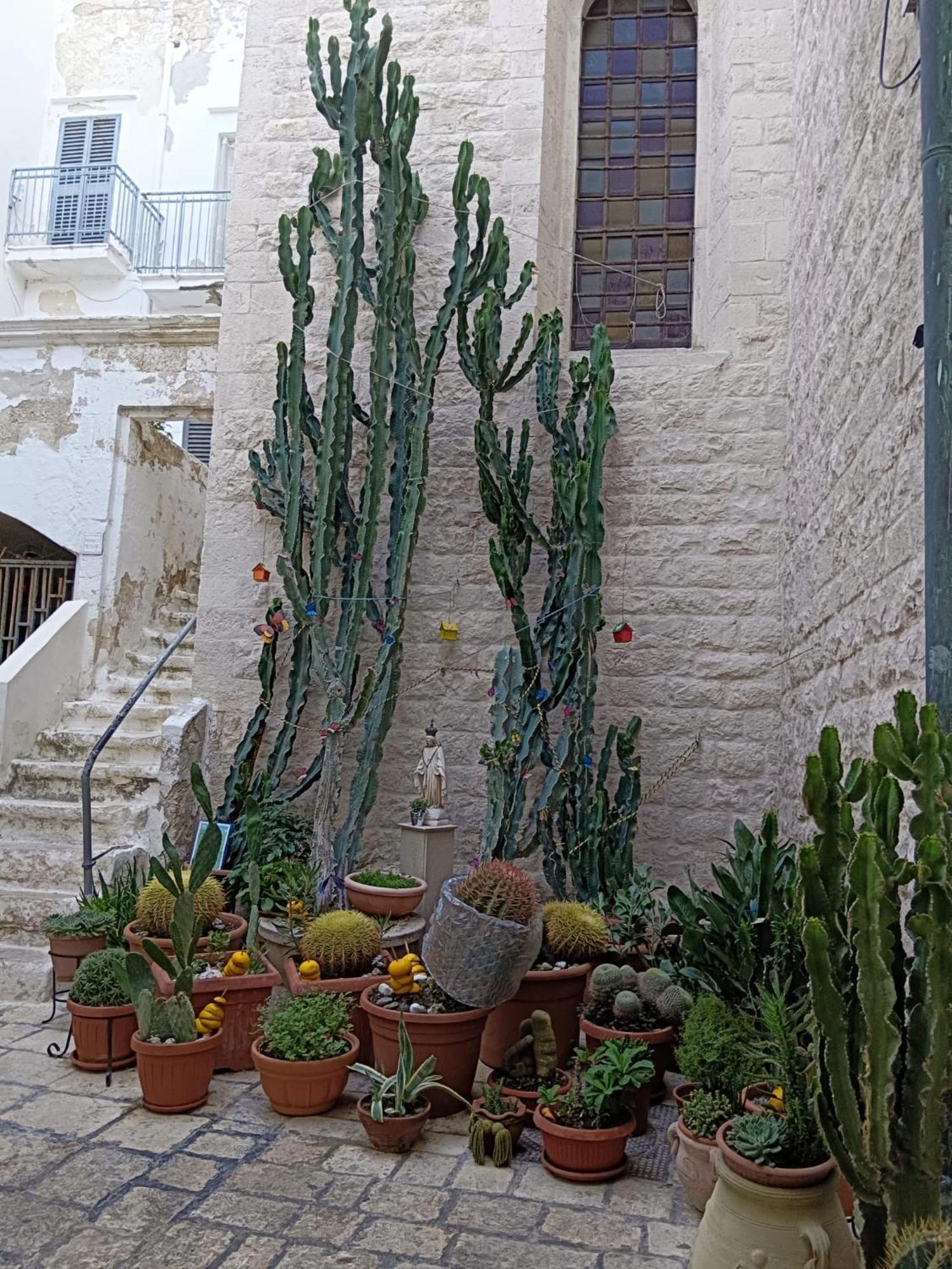 Palazzoliva - Luxury Boho Chic Guest House In The Historic Heart Of 马丁纳弗兰卡 外观 照片