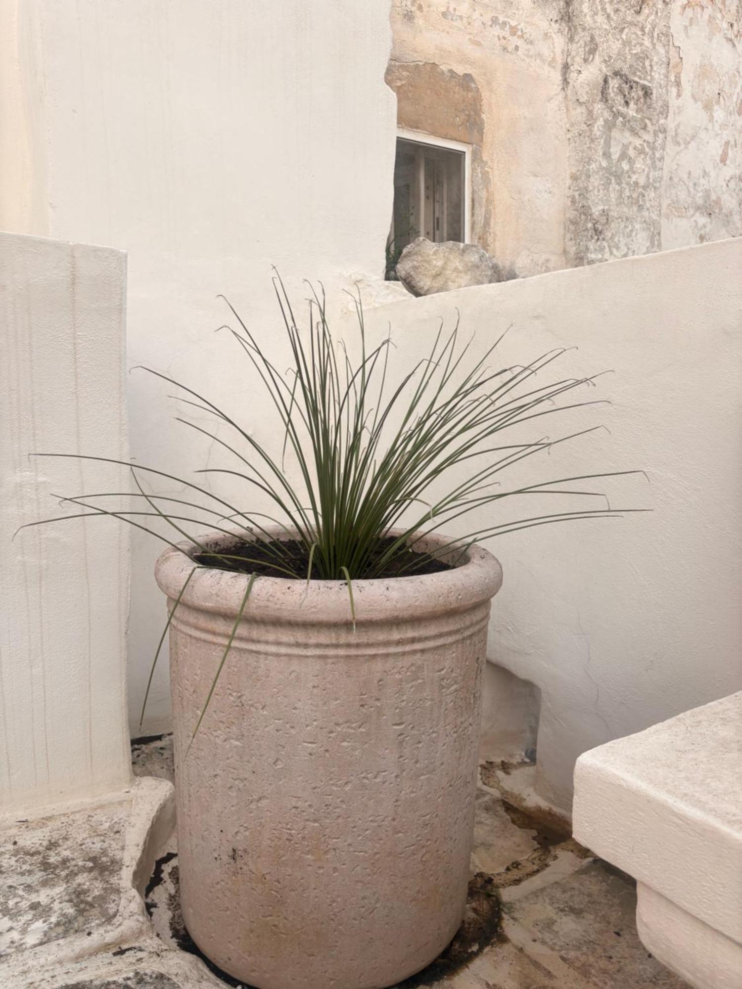 Palazzoliva - Luxury Boho Chic Guest House In The Historic Heart Of 马丁纳弗兰卡 外观 照片